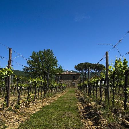 Agriturismo La Concezione Castiglion Fibocchi Exterior foto